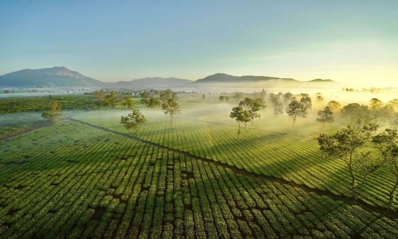 Biển Hồ Chè – Bức tranh xanh mát của núi rừng Tây Nguyên